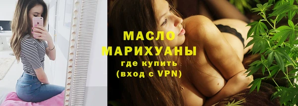 гашик Пересвет