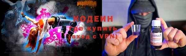 гашик Пересвет