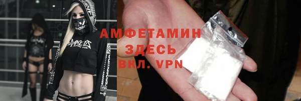 гашик Пересвет