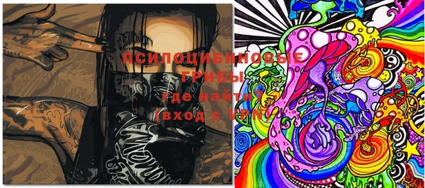 гашик Пересвет