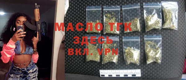 гашик Пересвет