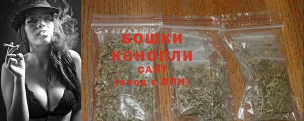 apvp Осташков