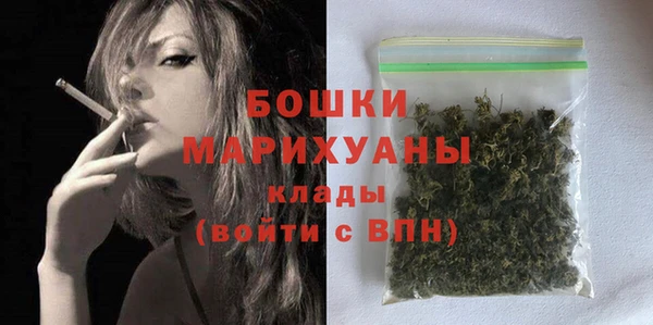 гашик Пересвет