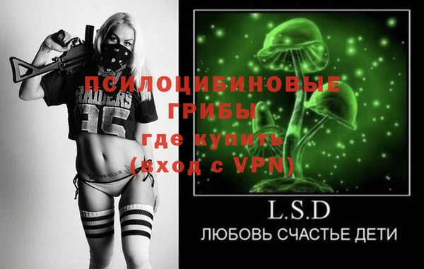 гашик Пересвет