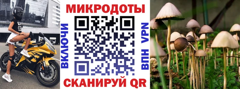 Галлюциногенные грибы Psilocybine cubensis Мамадыш