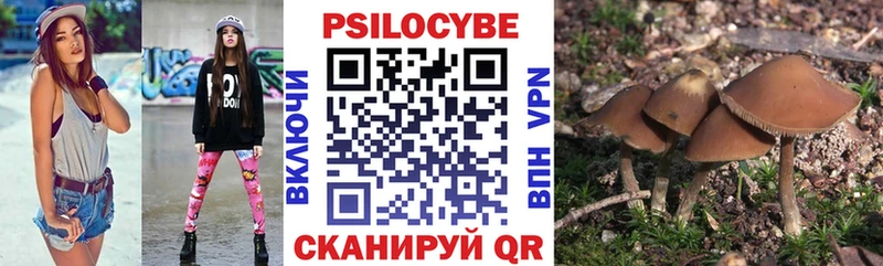 цена   Мамадыш  Псилоцибиновые грибы Cubensis 